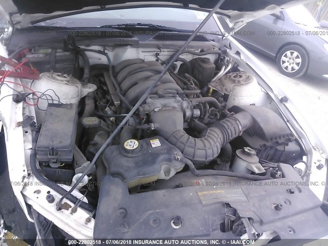 1ZVHT82H365265984 - 2006 FORD MUSTANG GT WHITE photo 10