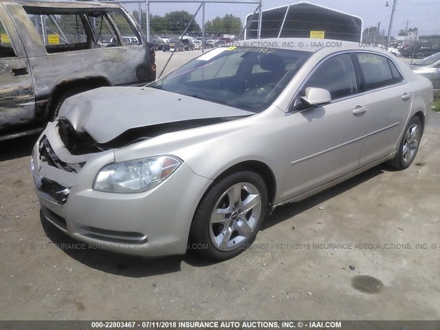 1G1ZC5E0XAF295801 - 2010 CHEVROLET MALIBU 1LT 金色 照片 2