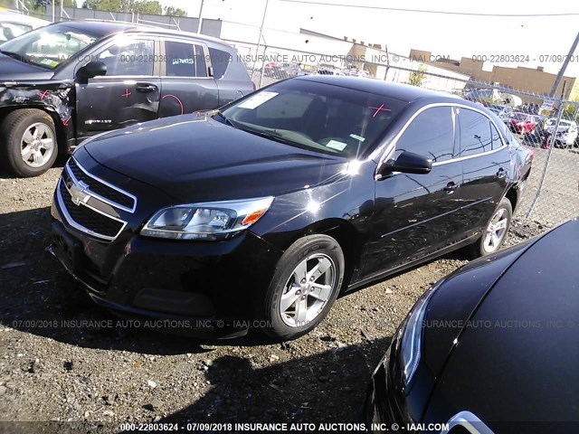 1G11B5SA8DU126227 - 2013 CHEVROLET MALIBU LS Қара фото 2