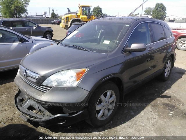 5J6RE48729L014893 - 2009 HONDA CR-V EXL GRAY photo 2