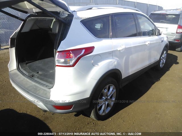 1FMCU0JXXEUD72227 - 2014 FORD ESCAPE TITANIUM WHITE photo 4