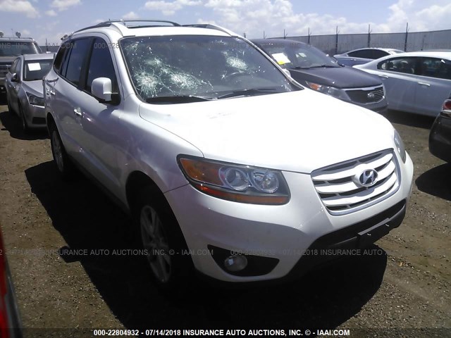 5NMSKDAG8AH336566 - 2010 HYUNDAI SANTA FE LIMITED WHITE photo 1