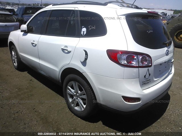 5NMSKDAG8AH336566 - 2010 HYUNDAI SANTA FE LIMITED WHITE photo 3