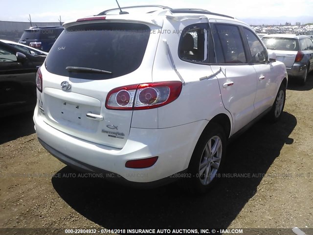 5NMSKDAG8AH336566 - 2010 HYUNDAI SANTA FE LIMITED WHITE photo 4