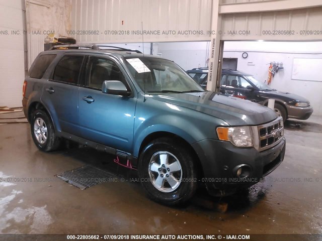 1FMCU9EG7AKC72378 - 2010 FORD ESCAPE LIMITED GREEN photo 1