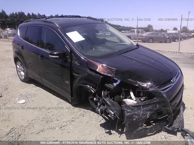 1FMCU9H96DUC83054 - 2013 FORD ESCAPE SEL BURGUNDY photo 1