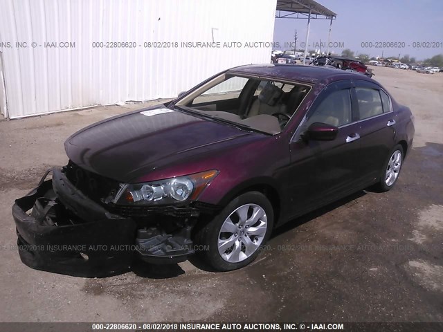 1HGCP368X8A051522 - 2008 HONDA ACCORD EXL MAROON photo 2