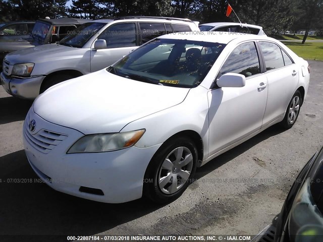 4T1BE46KX8U750502 - 2008 TOYOTA CAMRY CE/LE/XLE/SE WHITE photo 2