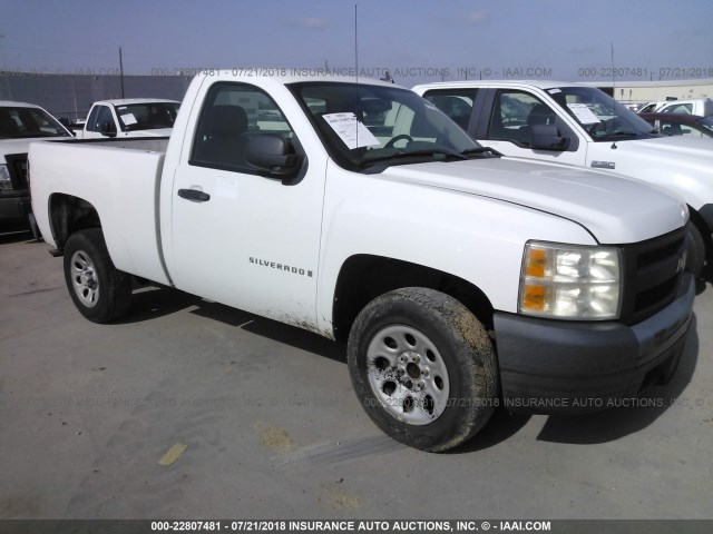 1GCEC14X77Z601230 - 2007 CHEVROLET SILVERADO C1500 CLASSIC WHITE photo 1