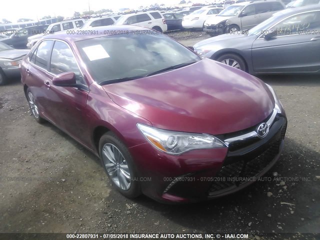 4T1BF1FK4HU703445 - 2017 TOYOTA CAMRY RED photo 1