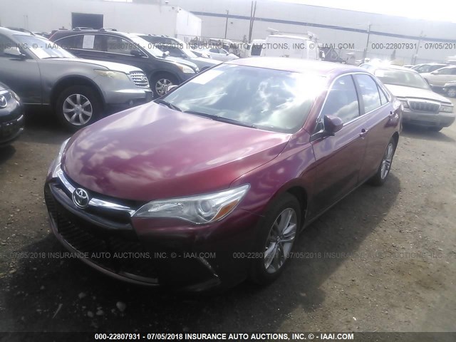4T1BF1FK4HU703445 - 2017 TOYOTA CAMRY RED photo 2