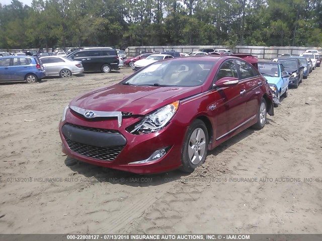 KMHEC4A46CA037375 - 2012 HYUNDAI SONATA HYBRID RED photo 2