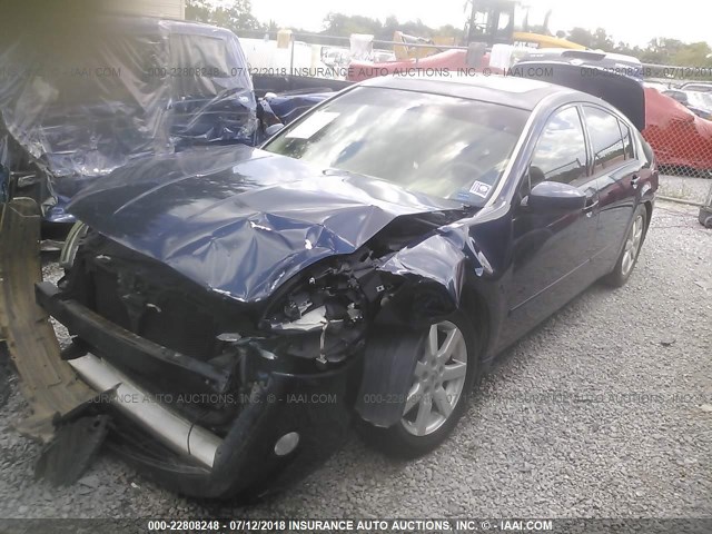 1N4BA41EX5C858577 - 2005 NISSAN MAXIMA SE/SL BLUE photo 2