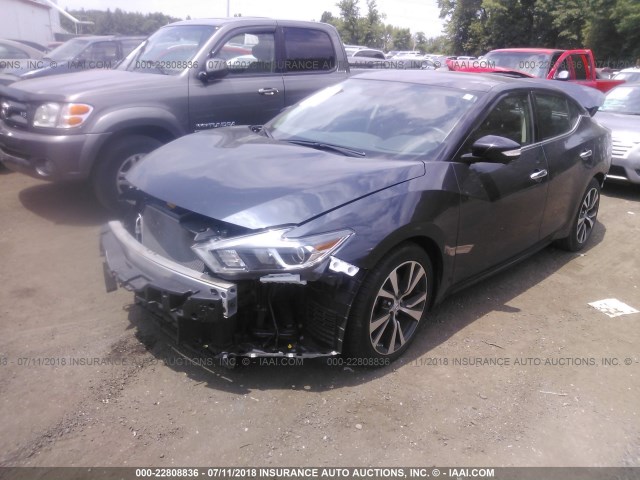 1N4AA6AP4GC442231 - 2016 NISSAN MAXIMA 3.5S/SV/SL/SR/PLAT GRAY photo 2