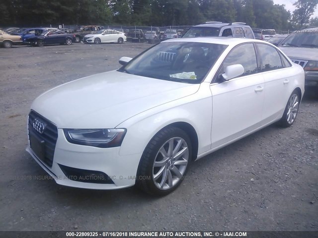 WAUFFAFL2DA064456 - 2013 AUDI A4 PREMIUM PLUS WHITE photo 2