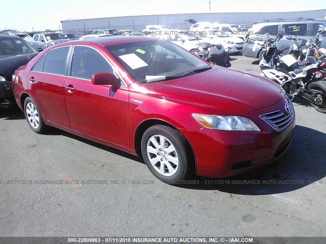 4T1BB46KX9U062994 - 2009 TOYOTA CAMRY HYBRID RED photo 1