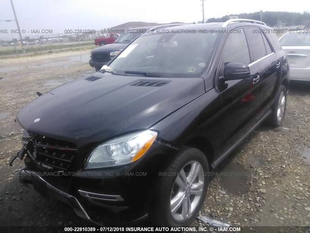 4JGDA5HB3DA206300 - 2013 MERCEDES-BENZ ML 350 4MATIC BLACK photo 2