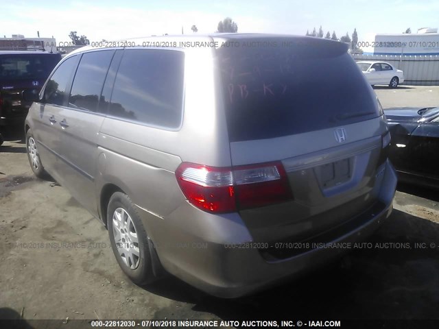 5FNRL38215B105774 - 2005 HONDA ODYSSEY LX GOLD photo 3