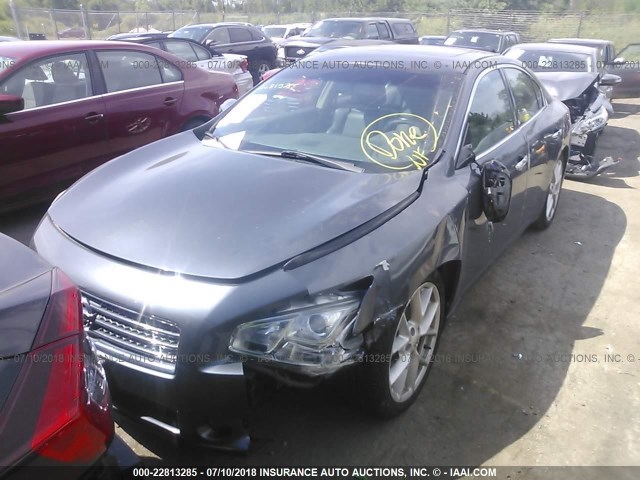 1N4AA51E99C835489 - 2009 NISSAN MAXIMA S/SV GRAY photo 2