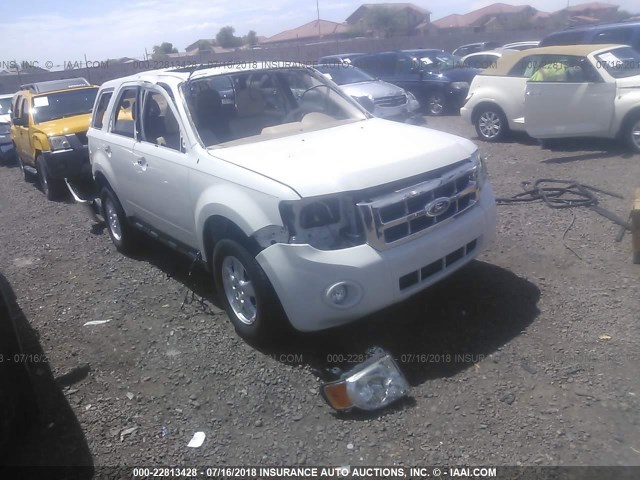 1FMCU0D75CKA07748 - 2012 FORD ESCAPE XLT WHITE photo 1