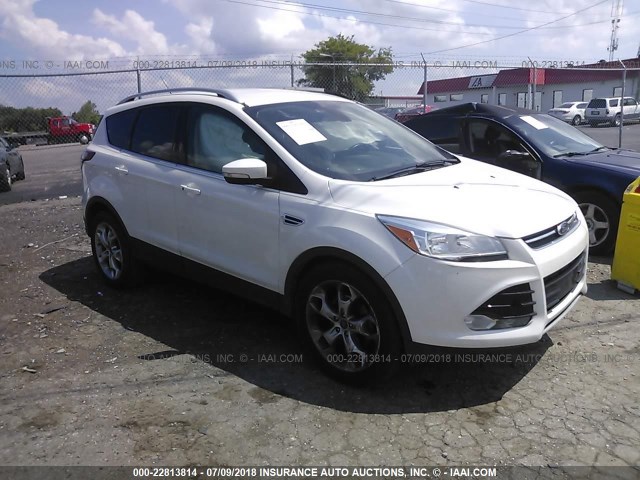 1FMCU0JX2EUB60518 - 2014 FORD ESCAPE TITANIUM WHITE photo 1