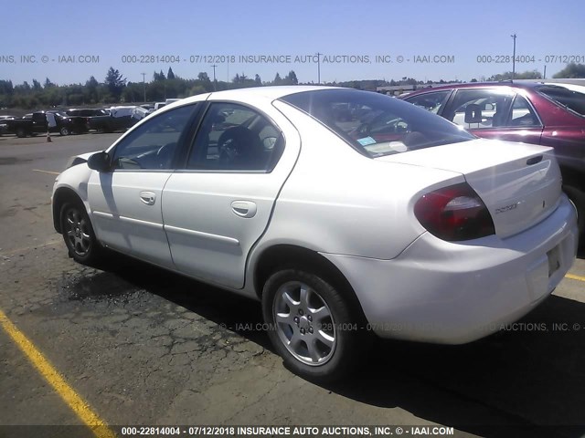 1B3ES56CX5D160547 - 2005 DODGE NEON SXT WHITE photo 3