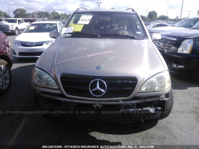 4JGAB54E63A388654 - 2003 MERCEDES-BENZ ML 320 GOLD photo 6