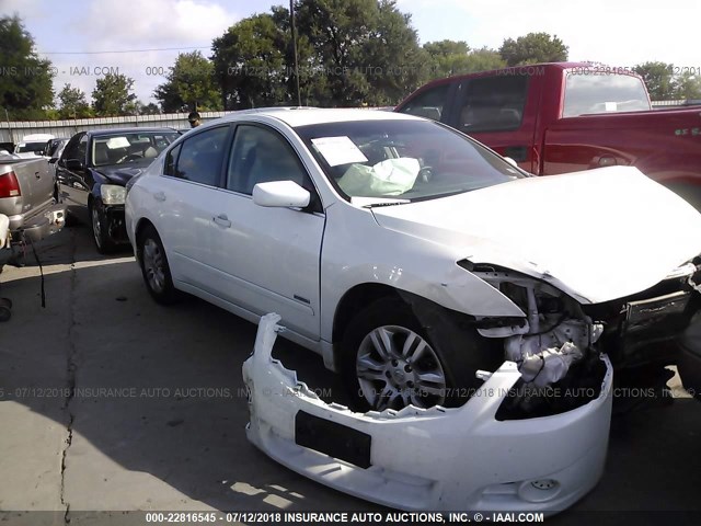 1N4CL2AP9AC117481 - 2010 NISSAN ALTIMA HYBRID WHITE photo 1