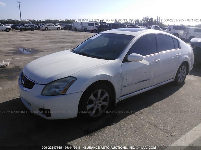 1N4BA41E37C833393 - 2007 NISSAN MAXIMA SE/SL WHITE photo 2