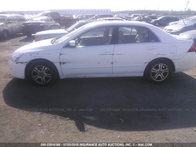 1HGCM56767A082387 - 2007 HONDA ACCORD EX 白色 照片 6