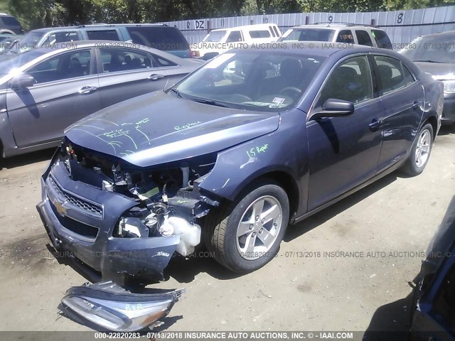 1G11B5SA3DF294491 - 2013 CHEVROLET MALIBU LS Mavi foto 2