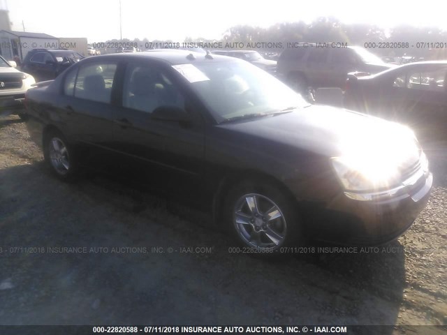 1G1ZT54865F246415 - 2005 CHEVROLET MALIBU LS BLACK photo 1
