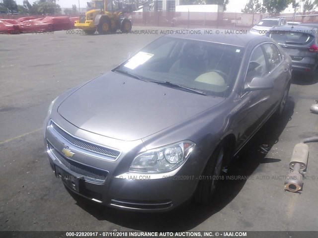 1G1ZC5E10BF325026 - 2011 CHEVROLET MALIBU 1LT 棕色 照片 2