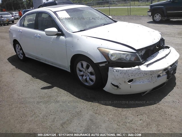 1HGCP36868A048262 - 2008 HONDA ACCORD EXL WHITE photo 1