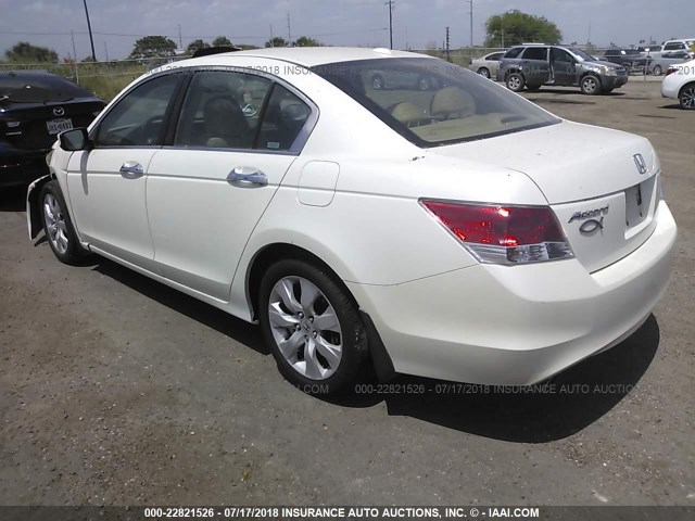 1HGCP36868A048262 - 2008 HONDA ACCORD EXL WHITE photo 3