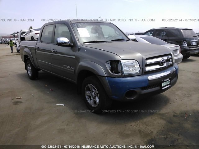 5TBET34146S544436 - 2006 TOYOTA TUNDRA DOUBLE CAB SR5 GRAY photo 1