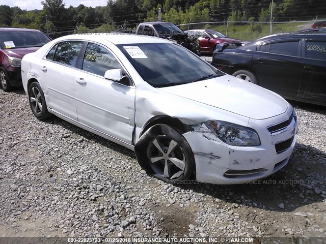 1G1ZC5E12BF113809 - 2011 CHEVROLET MALIBU 1LT 白色 照片 1