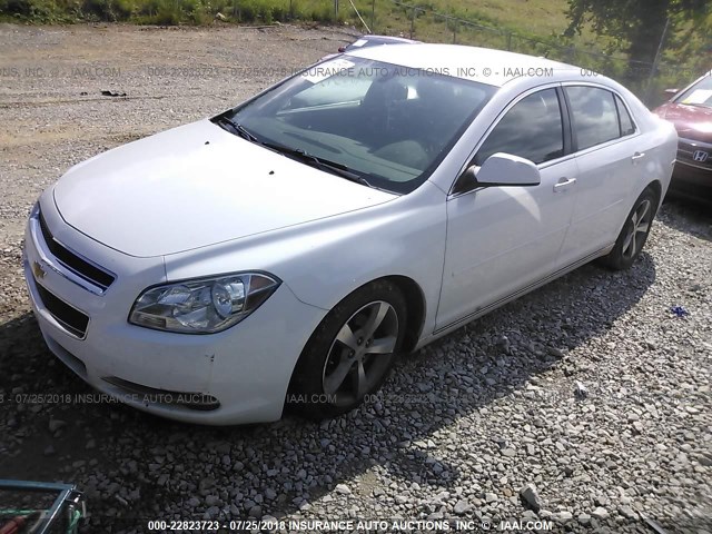1G1ZC5E12BF113809 - 2011 CHEVROLET MALIBU 1LT 白色 照片 2