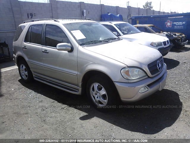 4JGAB54E62A346841 - 2002 MERCEDES-BENZ ML 320 GOLD photo 1