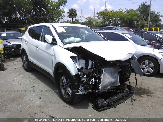 5XYZT3LB4HG434778 - 2017 HYUNDAI SANTA FE SPORT  WHITE photo 1