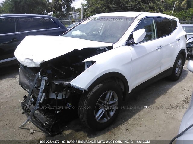 5XYZT3LB4HG434778 - 2017 HYUNDAI SANTA FE SPORT  WHITE photo 2