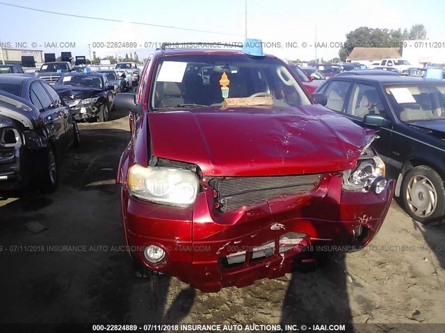 1FMCU04175KD86668 - 2005 FORD ESCAPE LIMITED RED photo 6