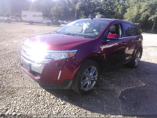 2FMDK4KC1EBB50971 - 2014 FORD EDGE LIMITED RED photo 2