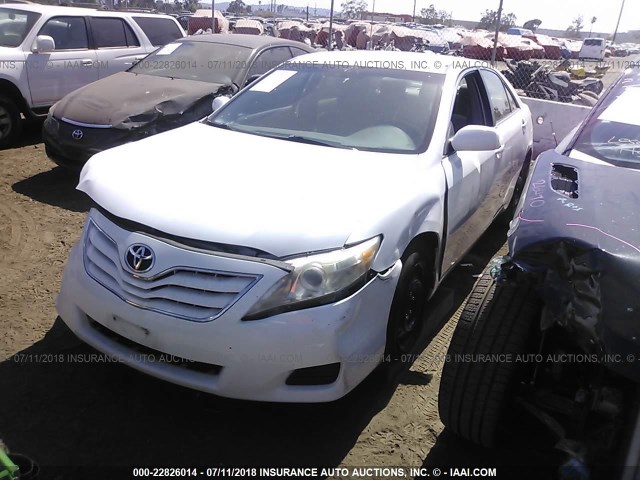 4T4BF3EK5BR167762 - 2011 TOYOTA CAMRY SE/LE/XLE თეთრი ფოტო 2