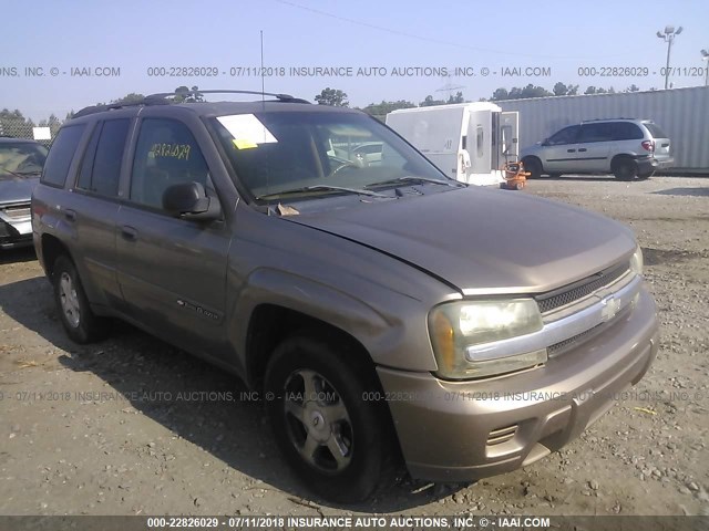 1GNDS13S722408640 - 2002 CHEVROLET TRAILBLAZER  TAN photo 1