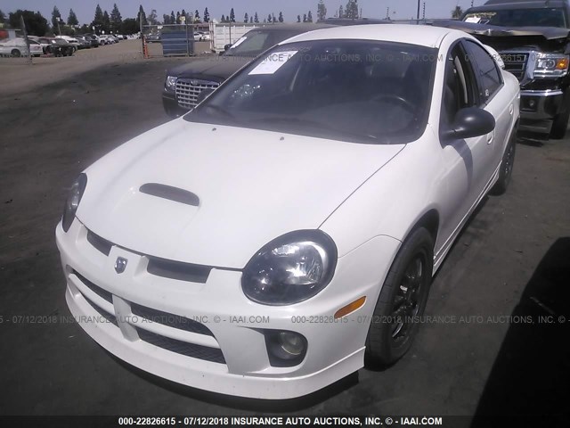 1B3ES66S55D286439 - 2005 DODGE NEON SRT-4 WHITE photo 2