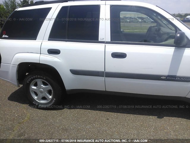 1GNDS13S232182783 - 2003 CHEVROLET TRAILBLAZER  WHITE photo 6