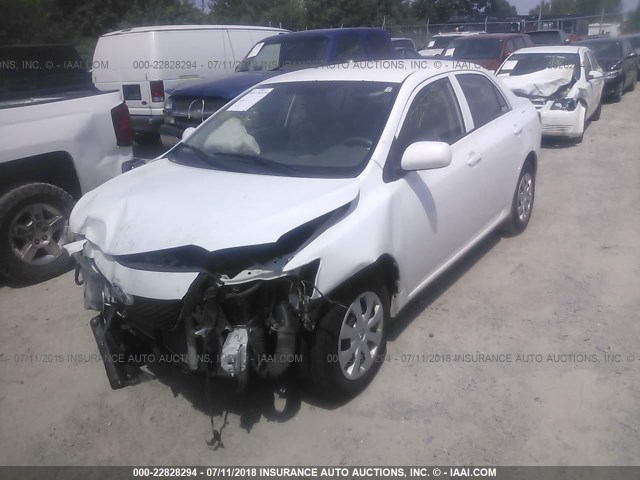 1NXBU4EE7AZ238894 - 2010 TOYOTA COROLLA S/LE/XLE WHITE photo 2