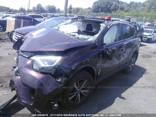 2T3RFREV3GW442761 - 2016 TOYOTA RAV4 XLE BURGUNDY photo 2