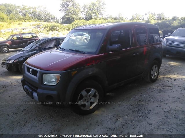 5J6YH28524L001124 - 2004 HONDA ELEMENT EX ORANGE photo 2